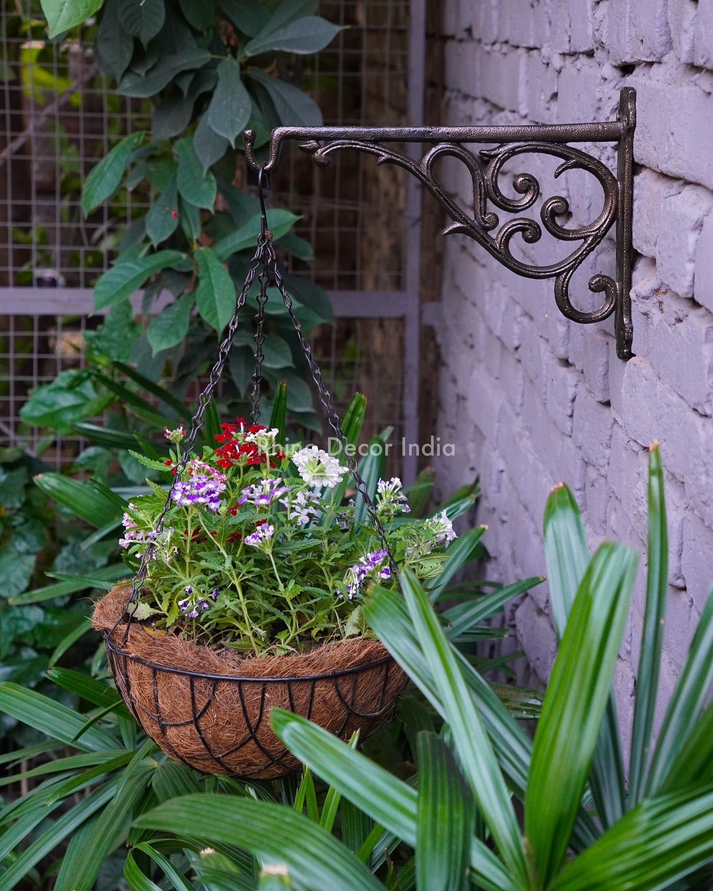 plants for hanging pots in india Elegant Hanging Planter (Set of 2 pieces) – Rhino Decor India