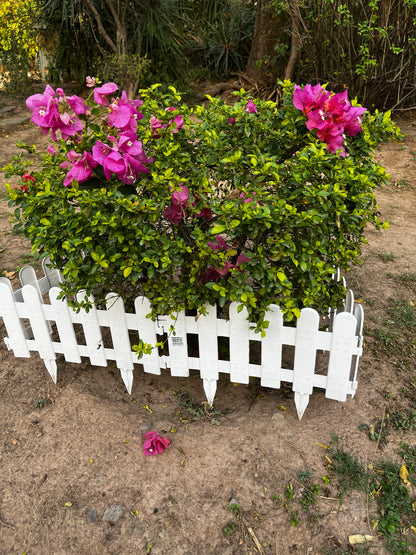 Garden Fence (Set of 4)