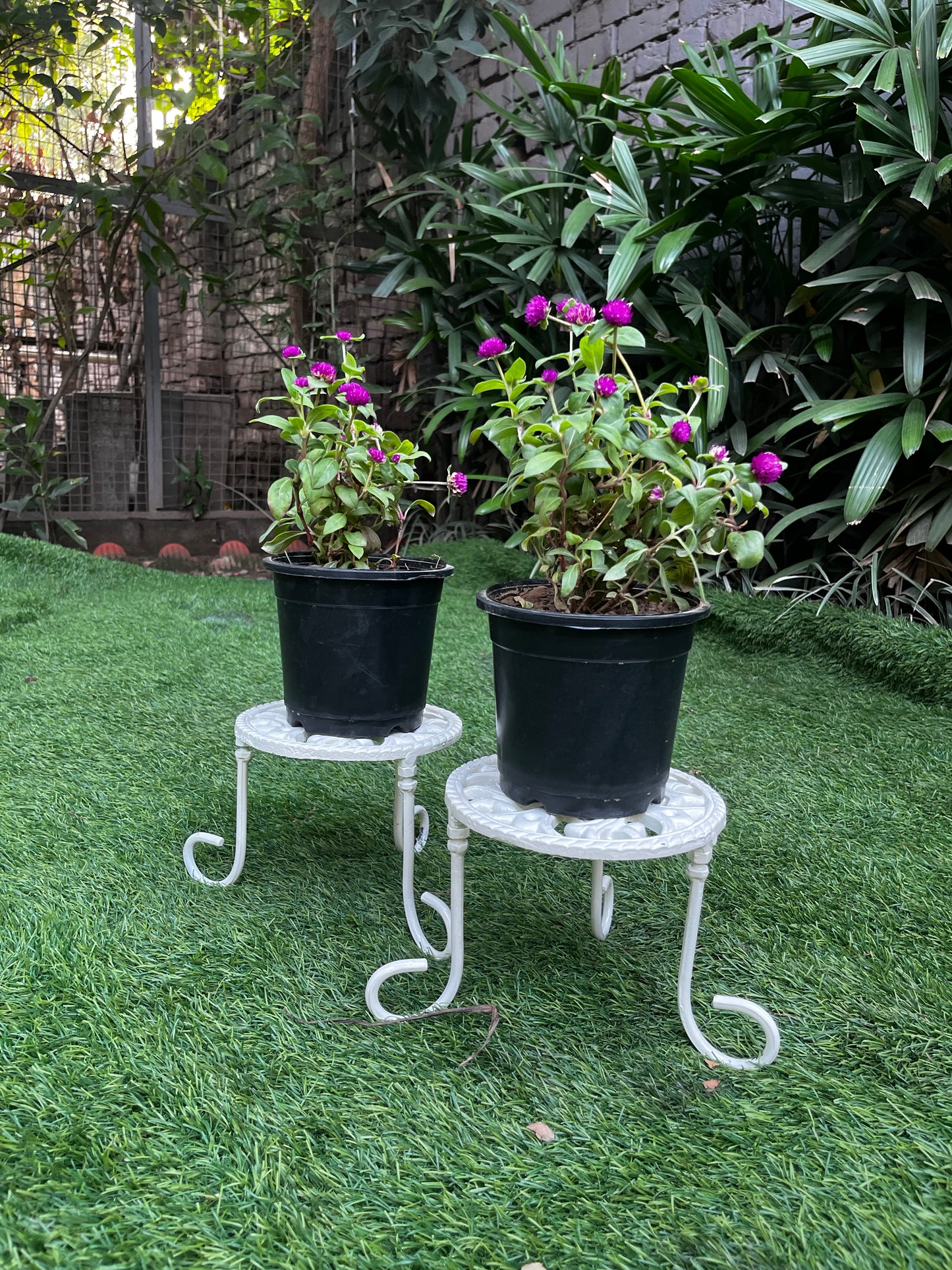 Imperial Cast Iron Planter