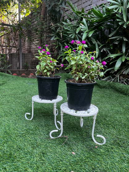 Imperial Cast Iron Planter