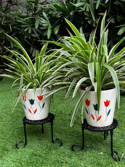 Imperial Cast Iron Planter
