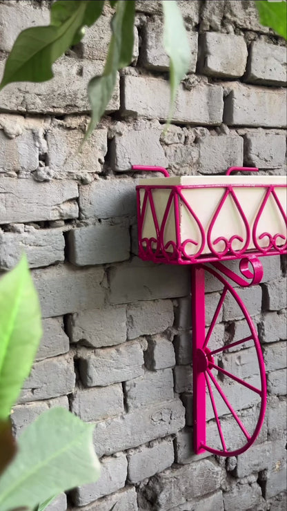 Pink Cycle Basket Planter